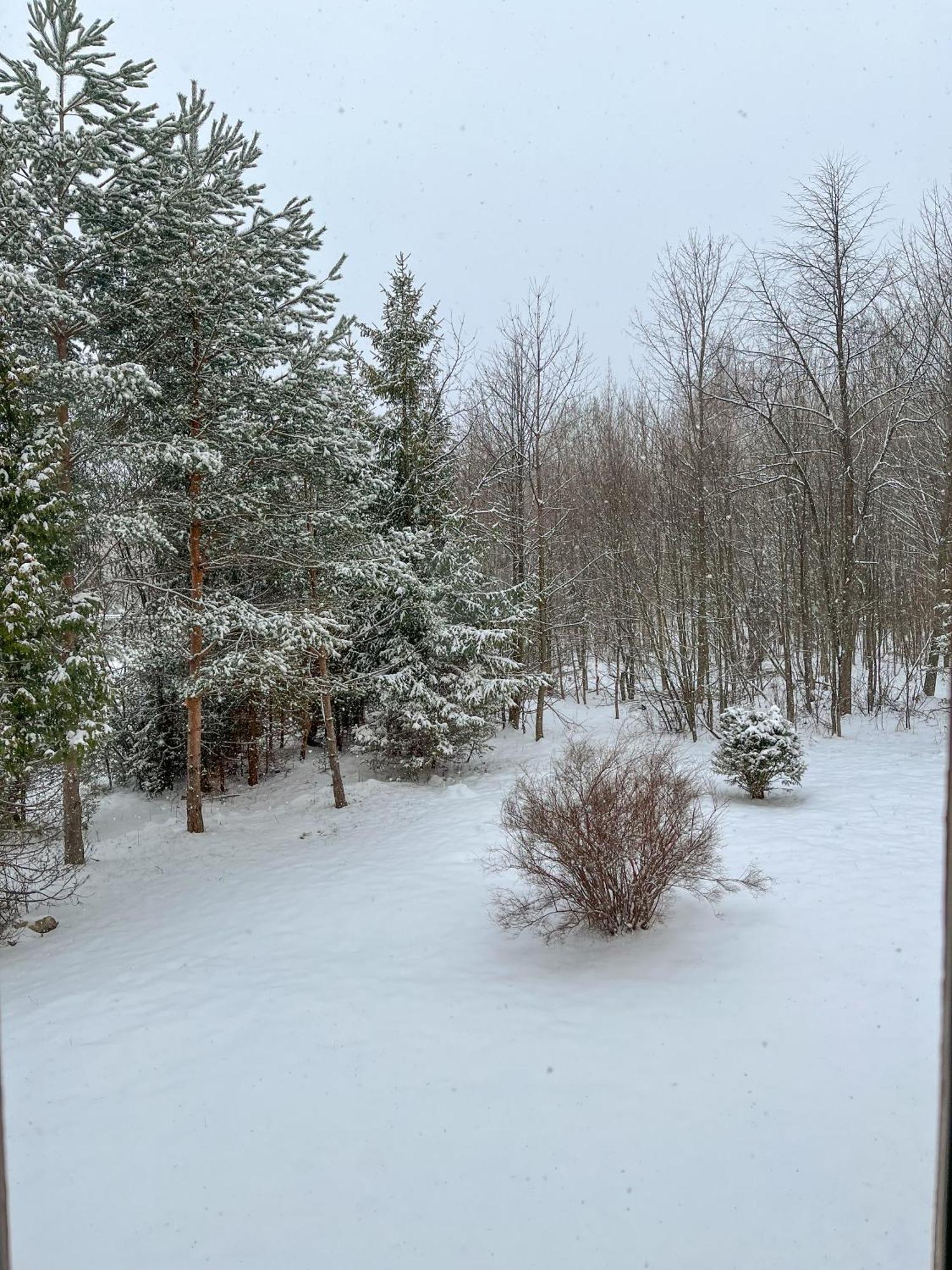 Slnecny 2-Izbovy Apartman Pod Lesom, Dolny Smokovec Vysoké Tatry Exteriör bild
